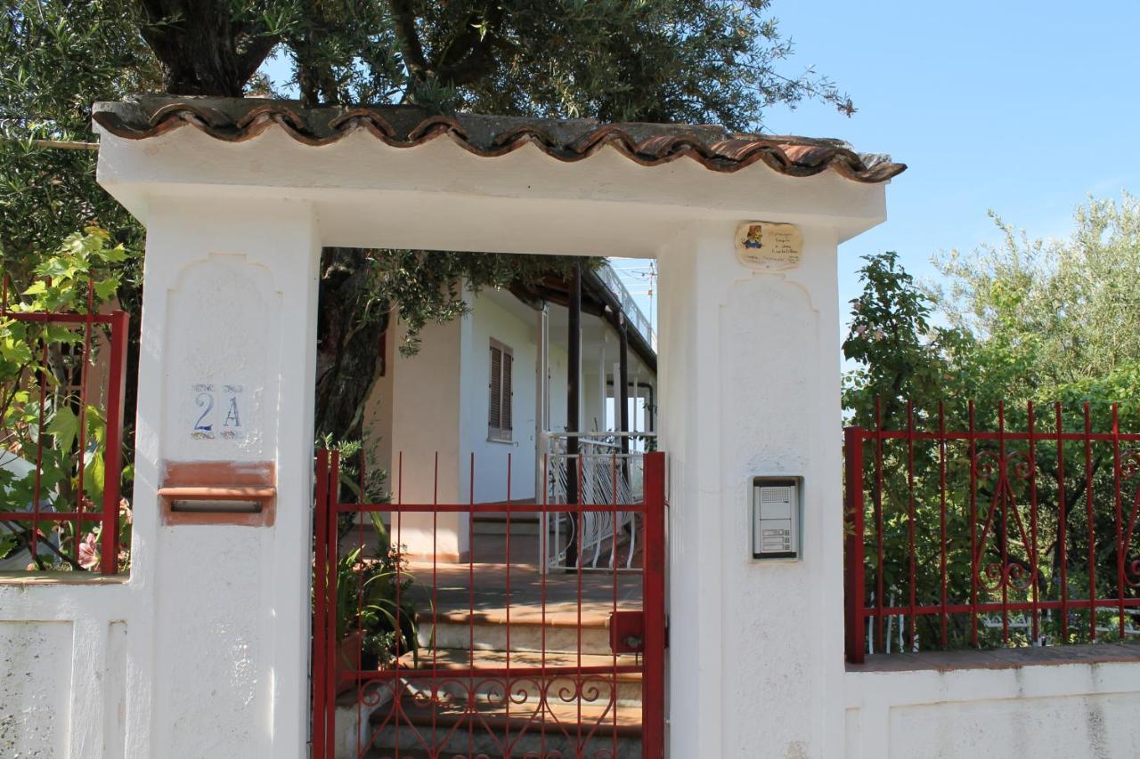 B&B Maratea Vacanze ภายนอก รูปภาพ